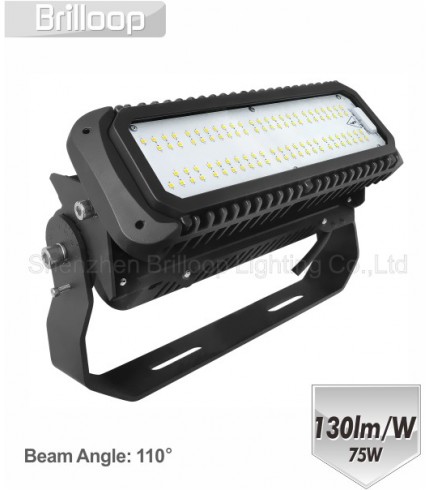 M17: 75W Modular Floodlight